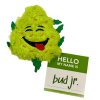 My Name is Bud Jr, Funny Catnip Weed Nug Cat Toy, Cute Stuffed Parody Pot Nug, Cool Plush 420 Novelty Gift for Cats, Kittens & Their Owners